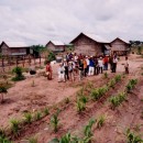 カンボジア自立村（農業支援）