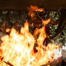 シルクのサリーを捧げる